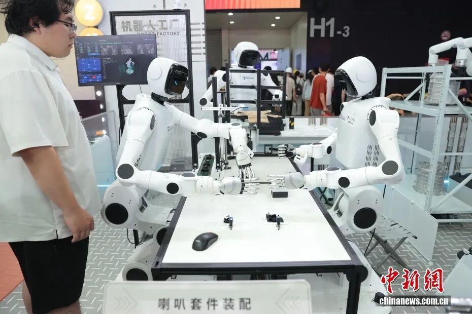 中新社记者 杨郁然 摄