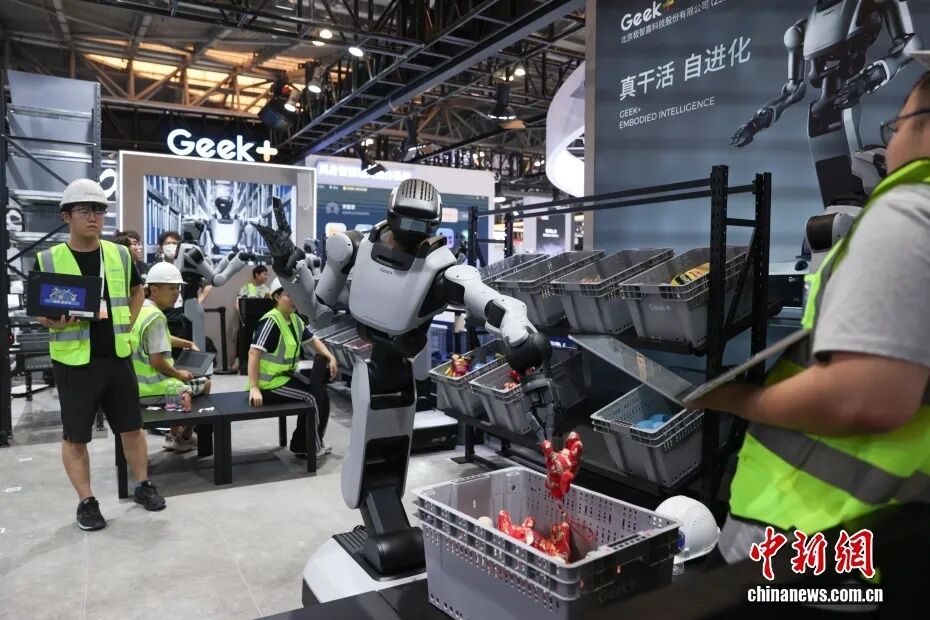 中新社记者 杨郁然 摄