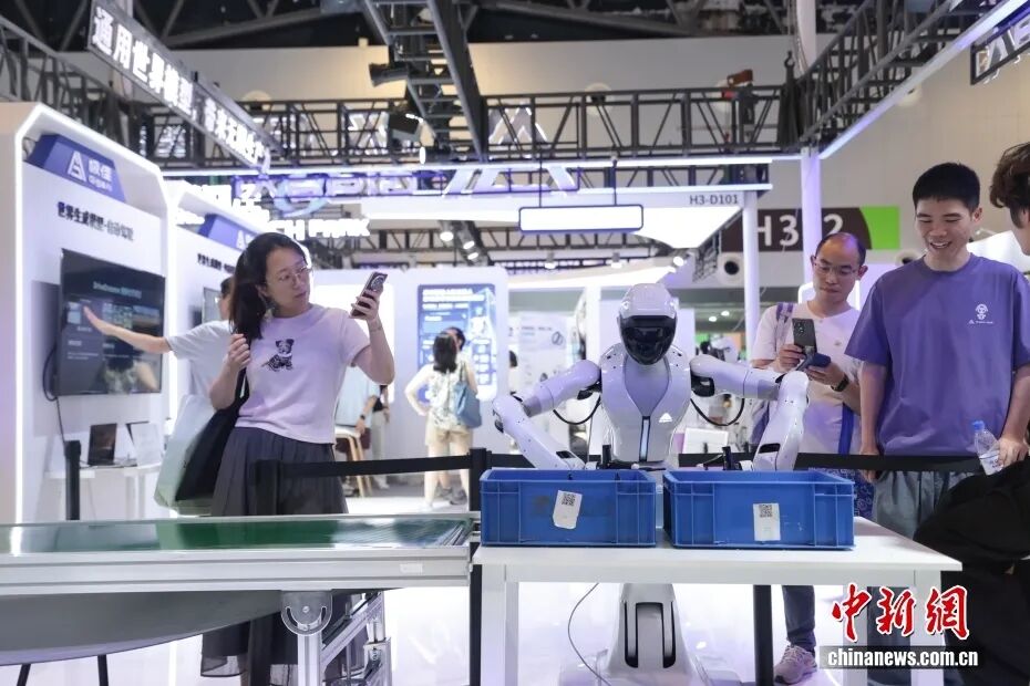 中新社记者 杨郁然 摄